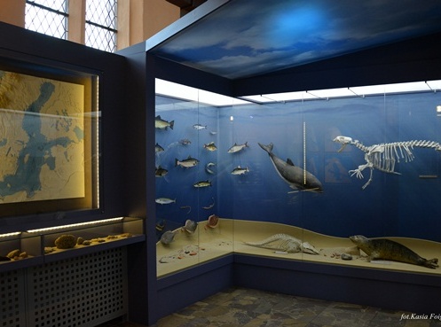 Muzeum Rybołówstwa