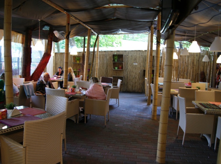 Thao-thai 