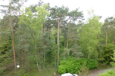 widok z okna