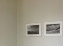 Apartament OGRODOWY