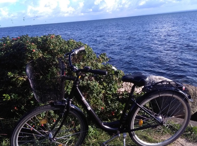 Hel Wypożyczalnia rowerów Ottobike 