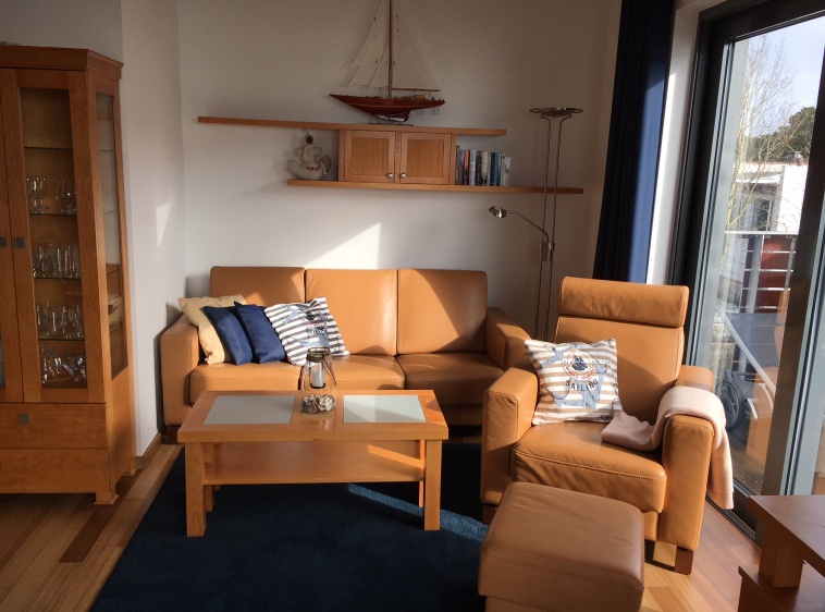 Apartamenty Aloza7  Apa. Aloza7 - pokój dzienny z rozkładana 2 os. kanapą?v=1.0
