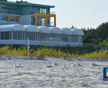 Hotel Bryza.