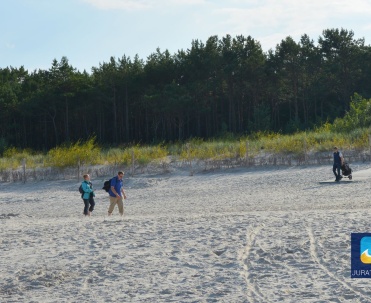 Sosnowy las tuż przy plaży.