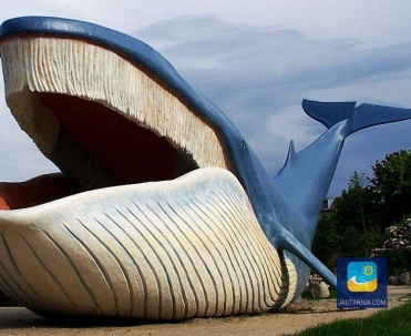Ocean Park - atrakcja zarówno dla młodych, jak i tych trochę starszych turystów.